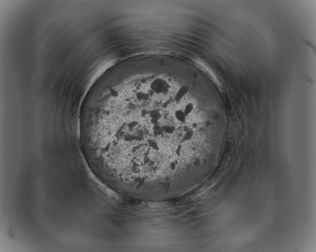 X0000090991095200708241420