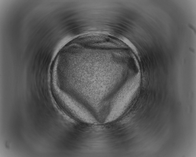 X0000090991096200708241420