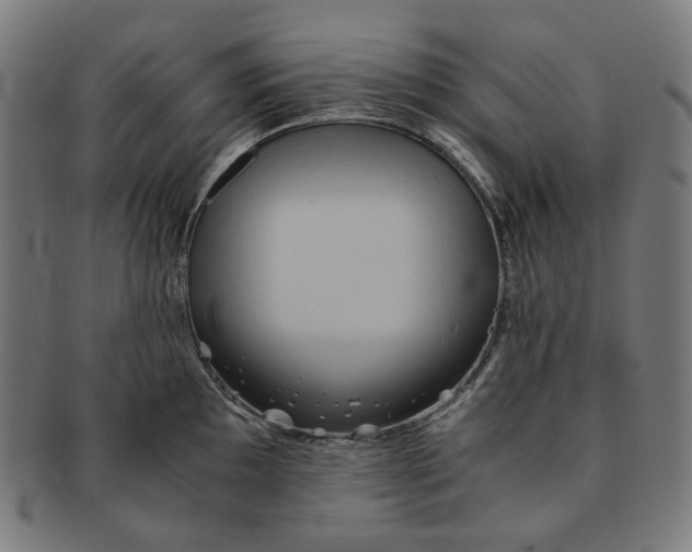 X0000090991097200708241420