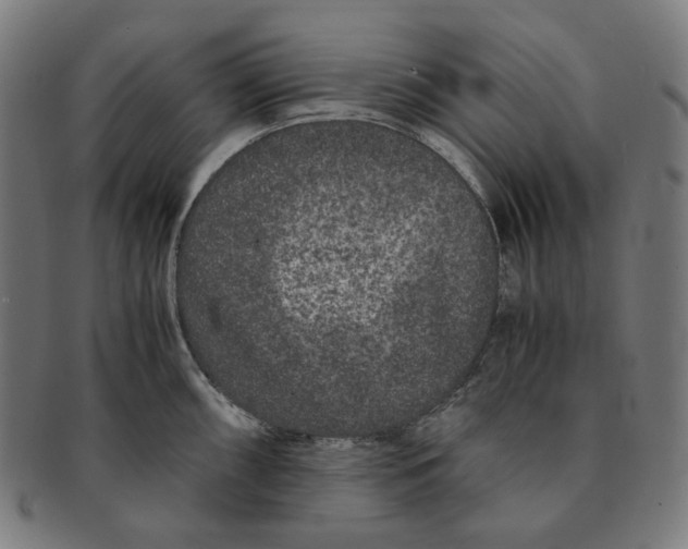 X0000090991098200708241420