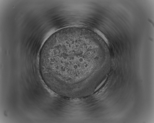 X0000090991099200708241420