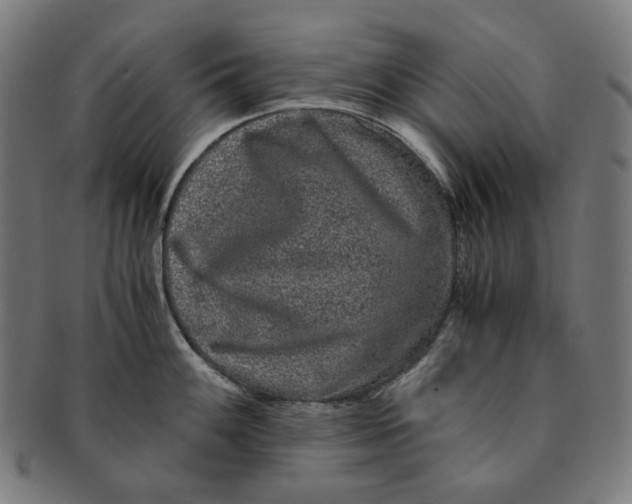 X0000090991100200708241420