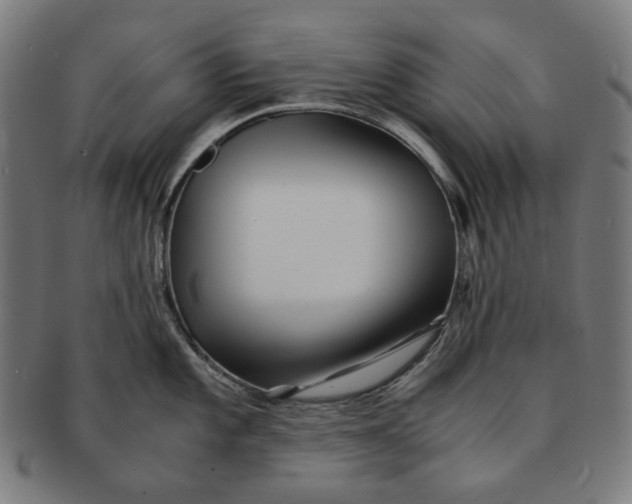 X0000090991101200708241420