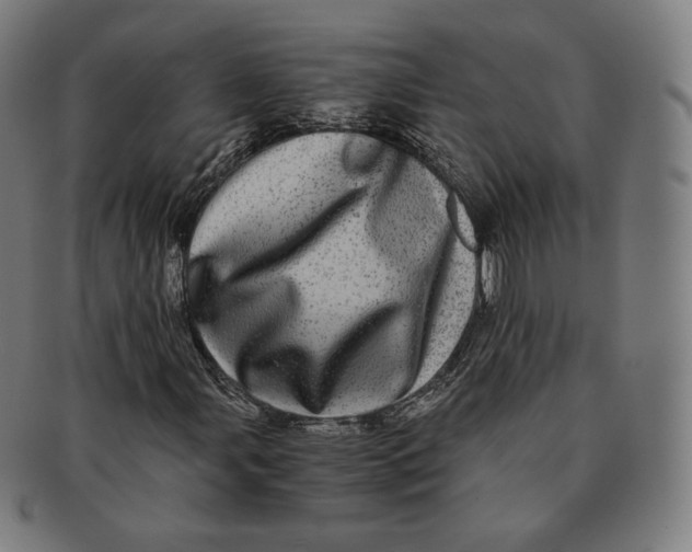 X0000090991107200708241419