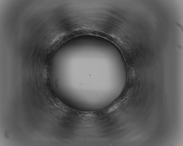 X0000090991110200708241419