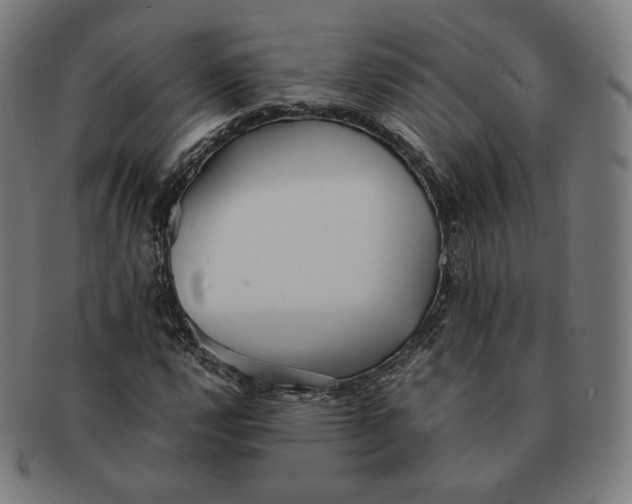 X0000090991112200708241419