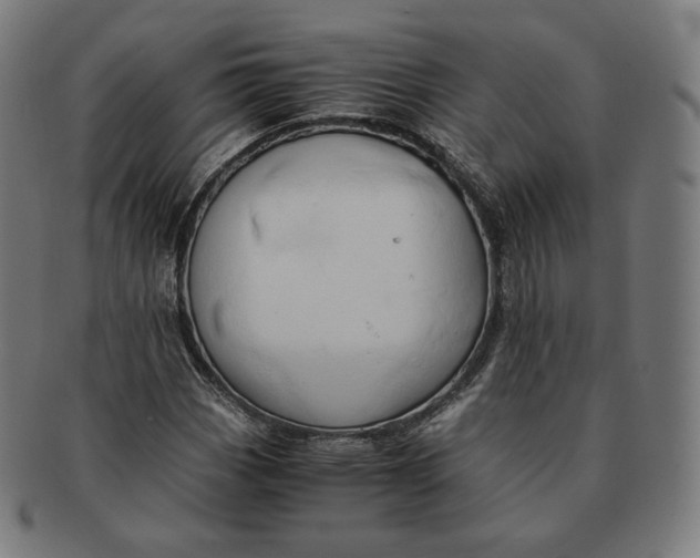 X0000090991113200708241419