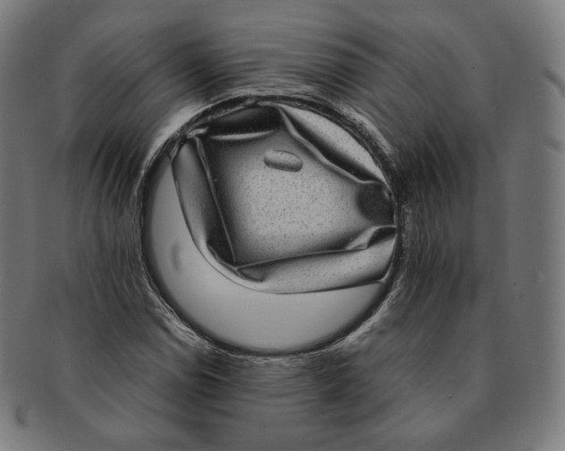 X0000090991114200708241419