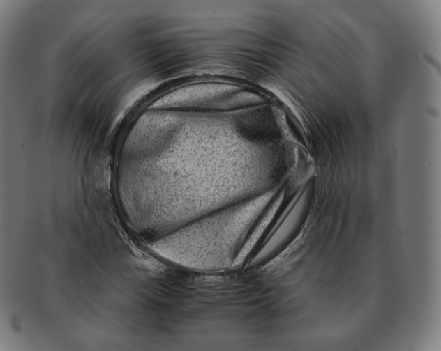 X0000090991115200708241419