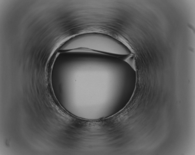 X0000090991116200708241419