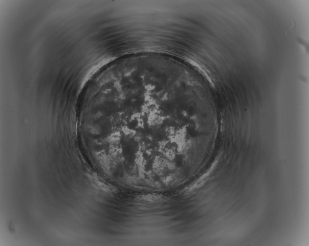 X0000090991117200708241419