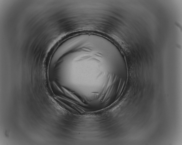 X0000090991118200708241419