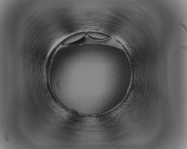 X0000090991120200708241419