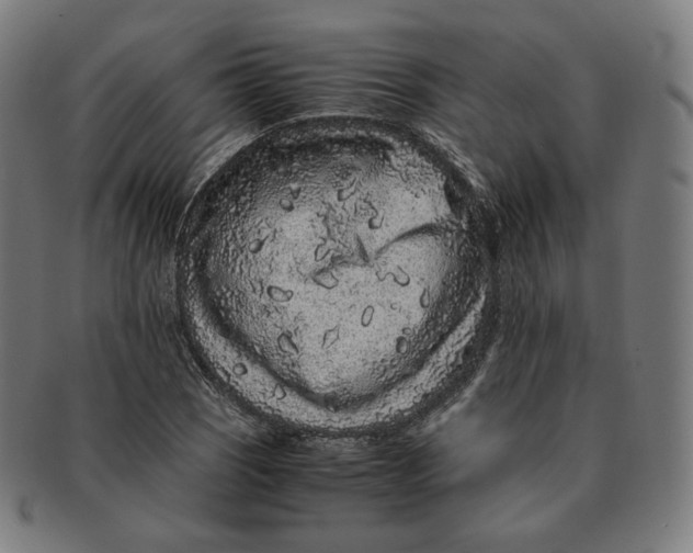 X0000090991121200708241419