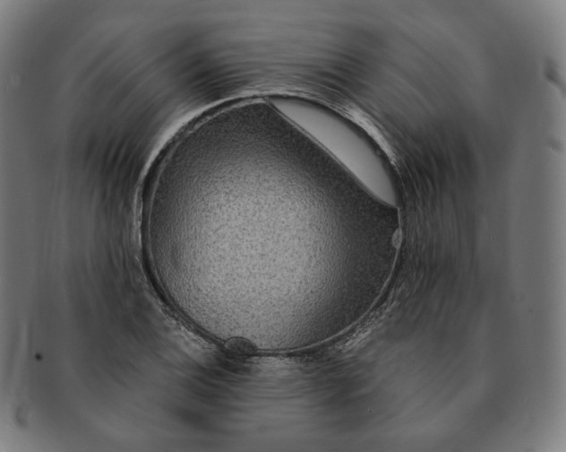 X0000090991124200708241419