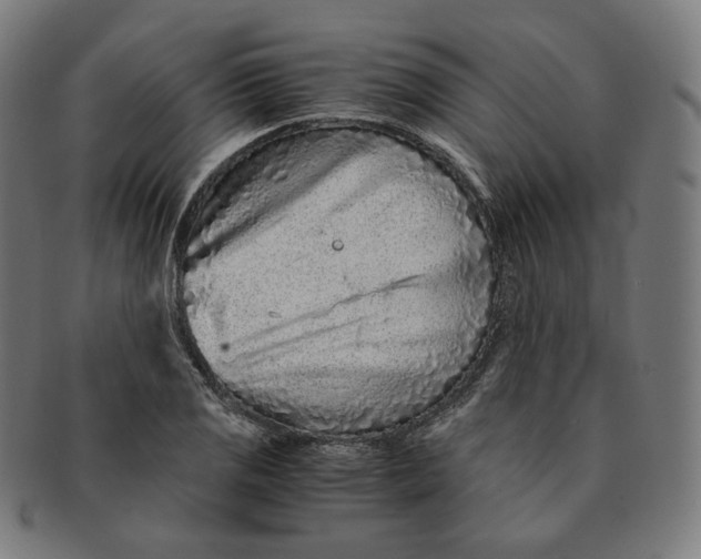 X0000090991125200708241419