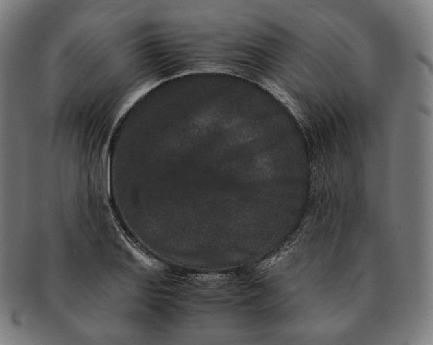 X0000090991127200708241420