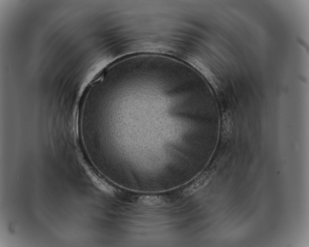 X0000090991128200708241420