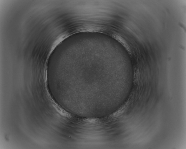 X0000090991130200708241420