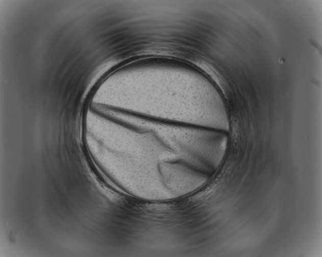 X0000090991131200708241420