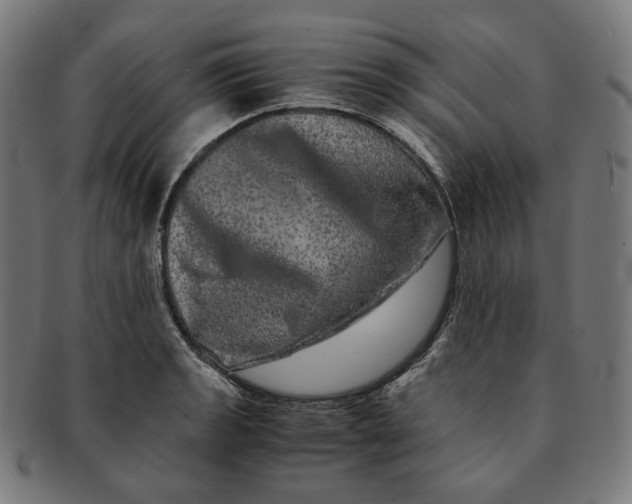 X0000090991133200708241420