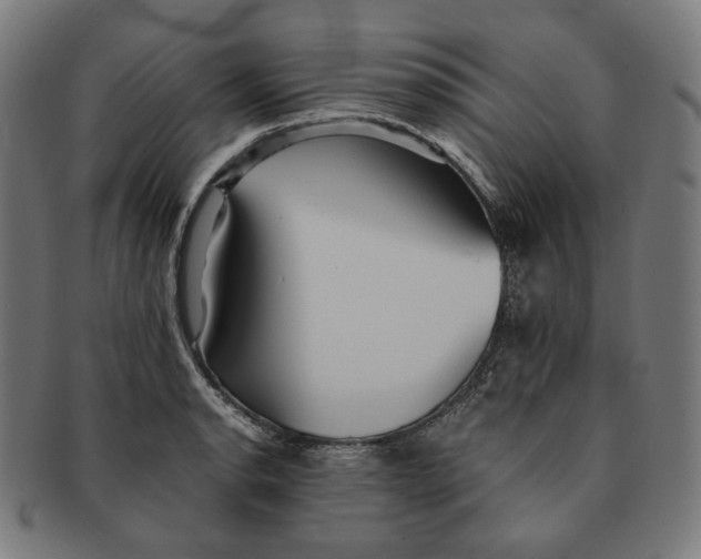 X0000090991134200708241420