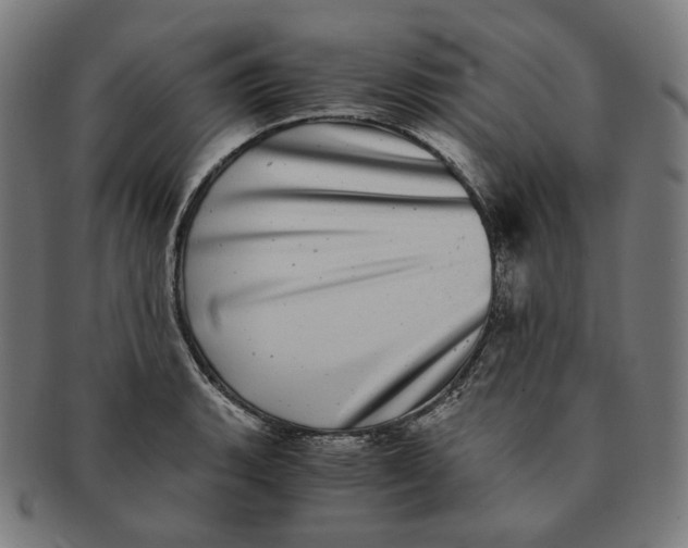 X0000090991135200708241420