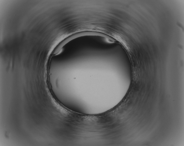 X0000090991136200708241420