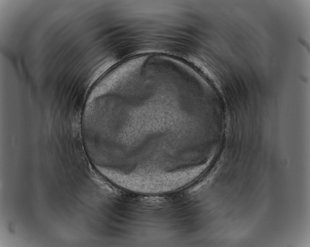 X0000090991137200708241420