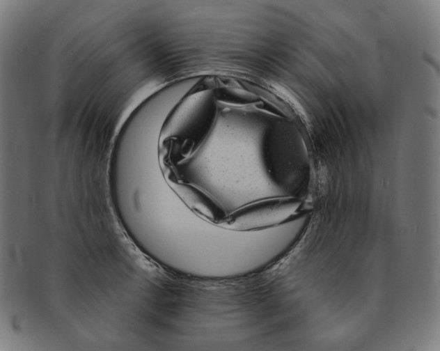 X0000090991138200708241420