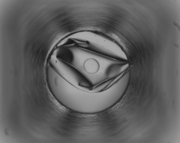 X0000090991140200708241420