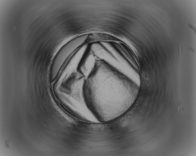 X0000090991142200708241420