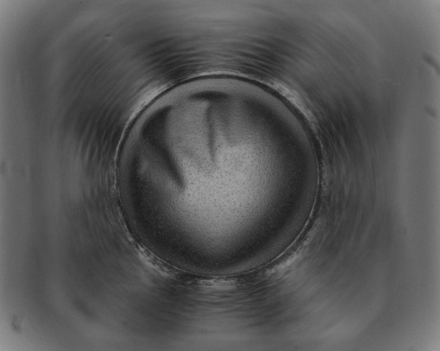 X0000090991145200708241420