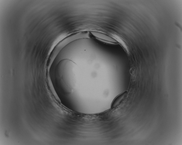 X0000090991146200708241420