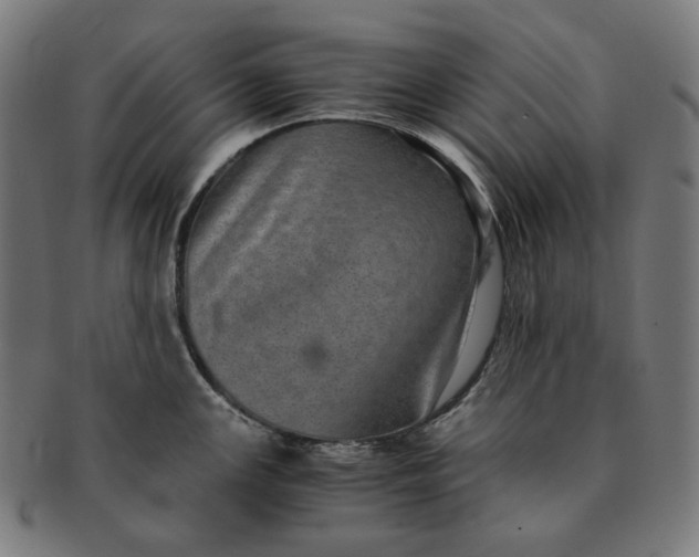 X0000090991147200708241420