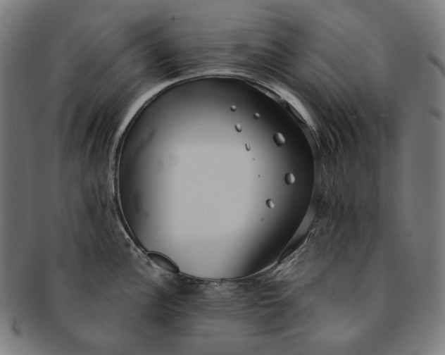 X0000090991148200708241420