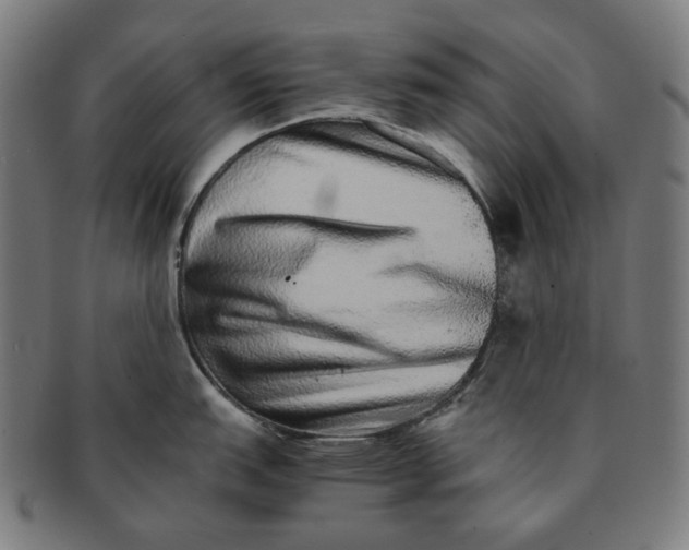 X0000090991151200708241420