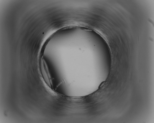 X0000090991152200708241420