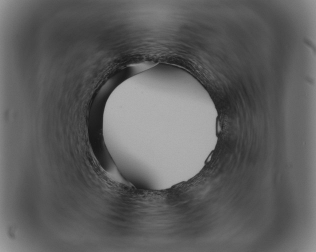 X0000090991153200708241419