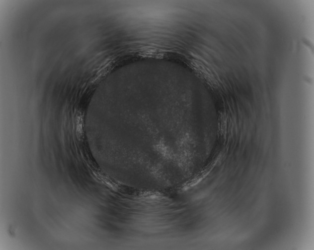 X0000090991154200708241419