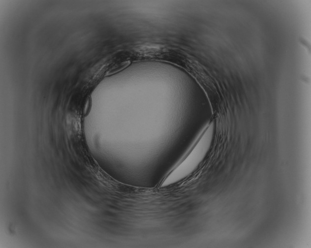 X0000090991155200708241419