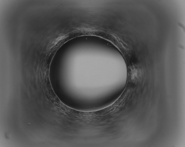 X0000090991157200708241419