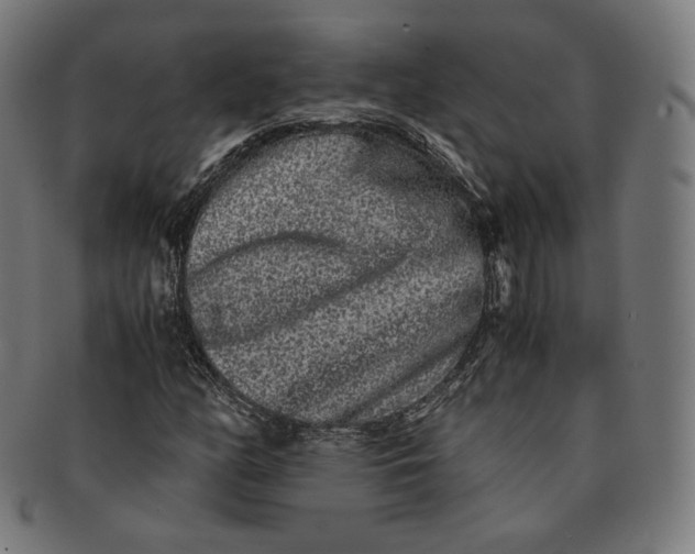 X0000090991158200708241419