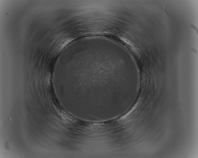 X0000090991161200708241419