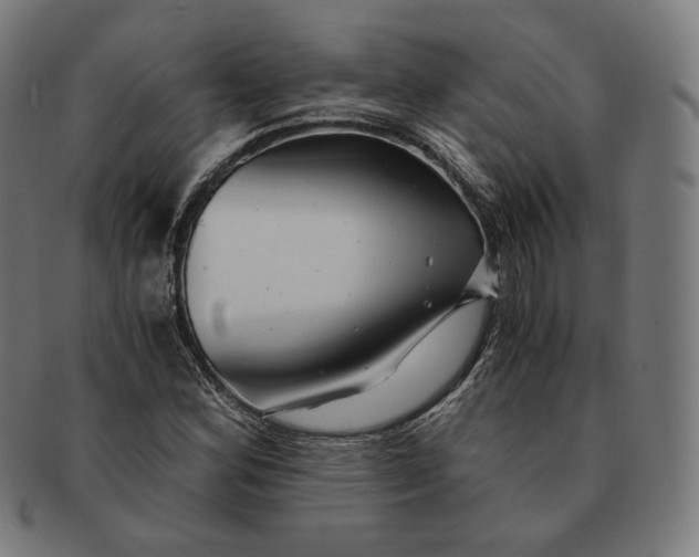 X0000090991164200708241419