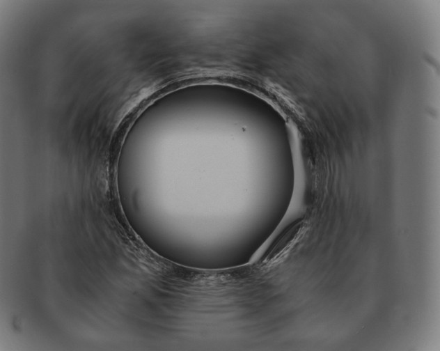 X0000090991165200708241419