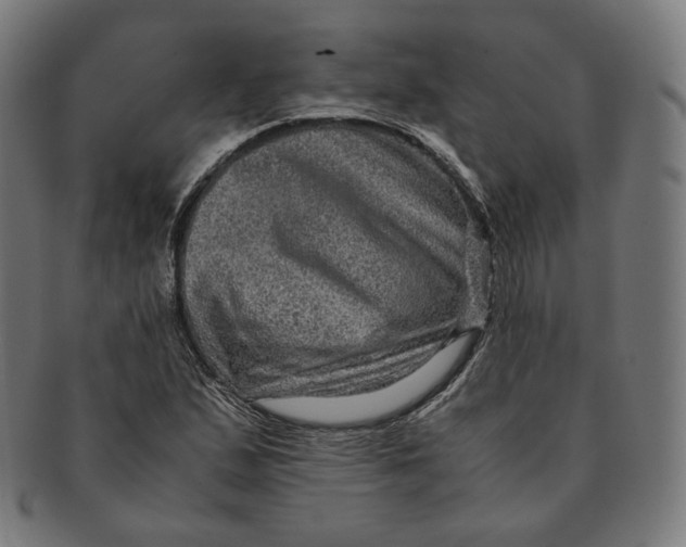 X0000090991167200708241419