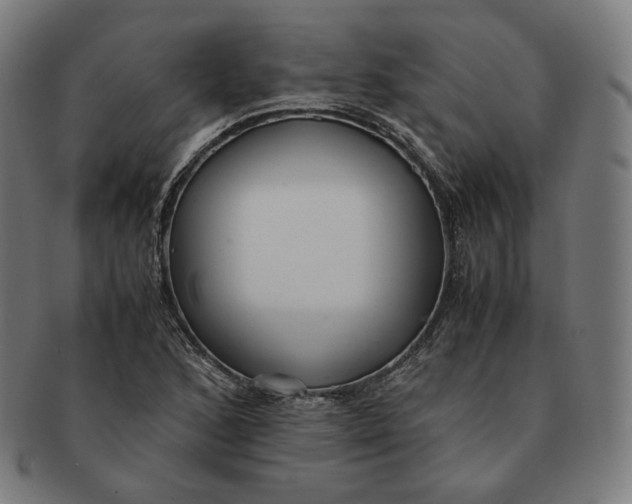 X0000090991168200708241419