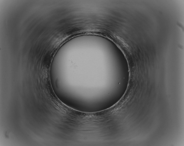 X0000090991169200708241419