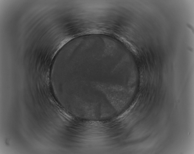 X0000090991170200708241419